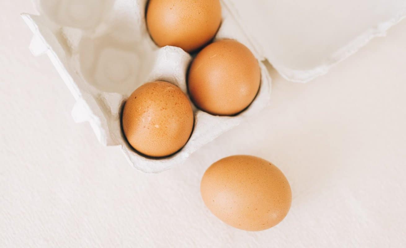 Can You Recycle Styrofoam & Plastic Egg Cartons? (Guide)