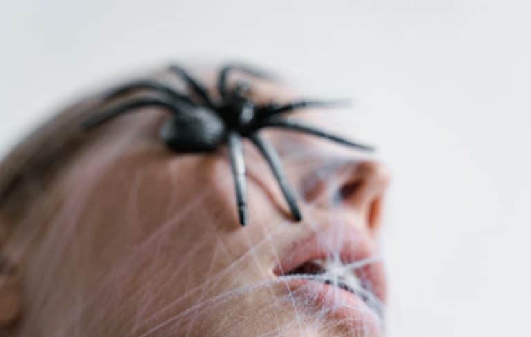 7 Reasons Why Spiders Keep Crawling On You