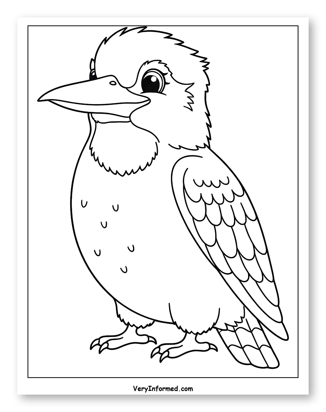 Cute Cartoon Kookaburra Bird