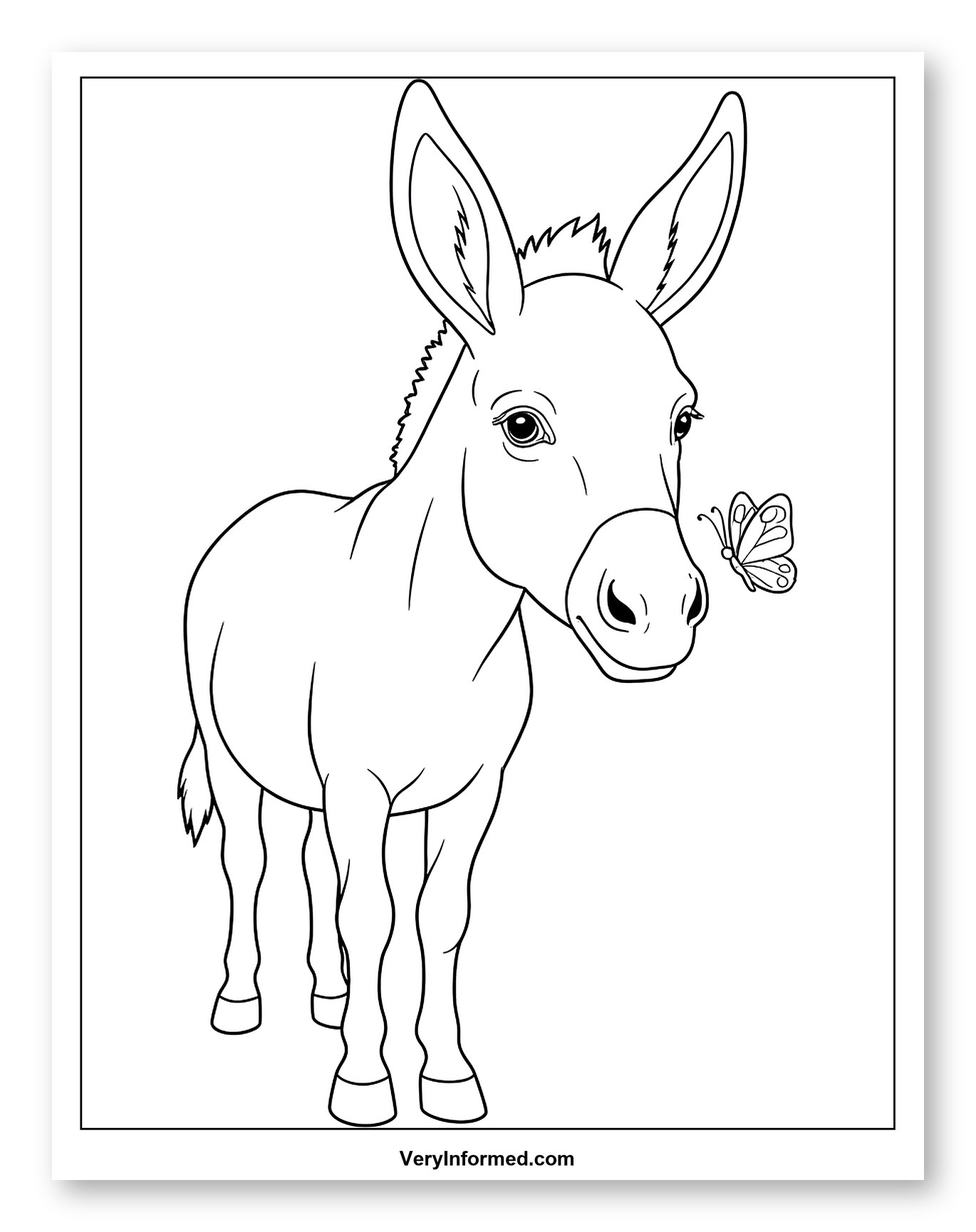 Cute Donkey Foal and Butterfly