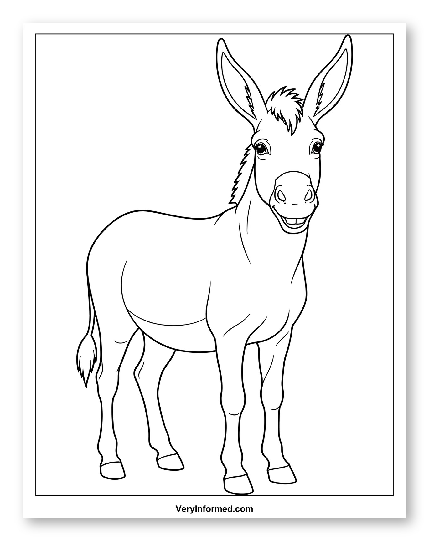 Cute Smiling Donkey Standing