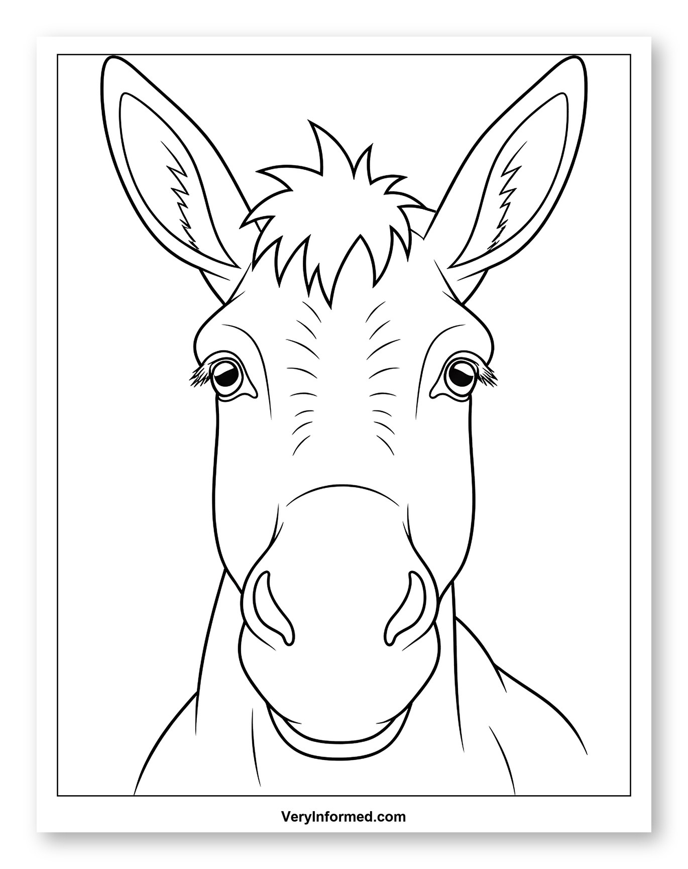 Front View of a Cute Donkey