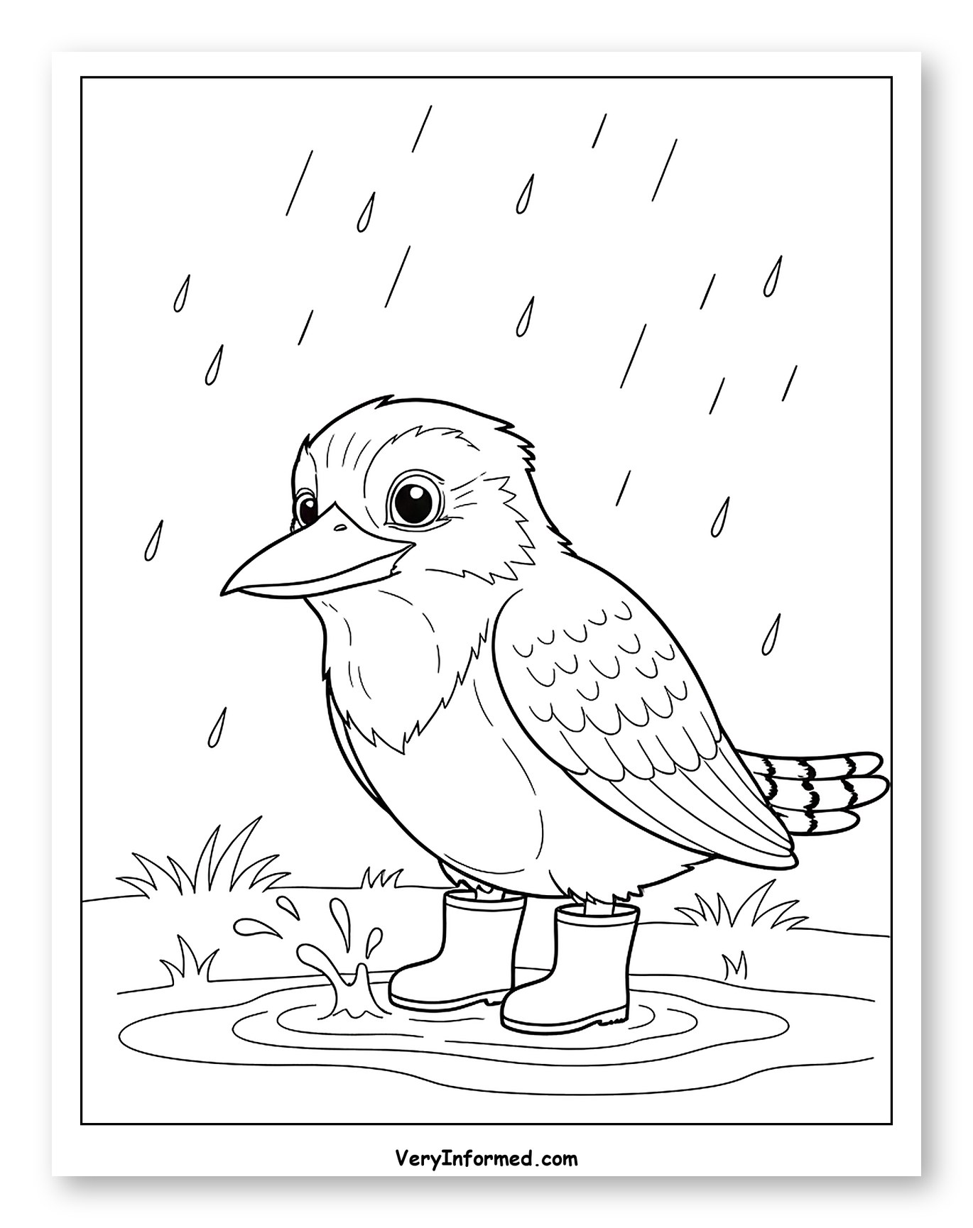 Happy Kookaburra Splashing in Rain Puddle