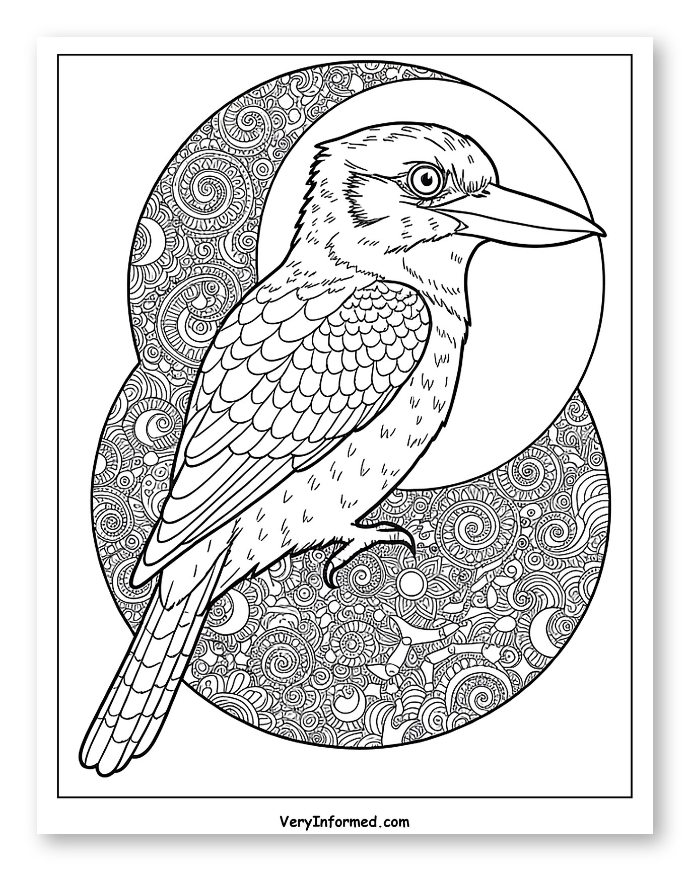 Intricate Kookaburra and Mandala Design