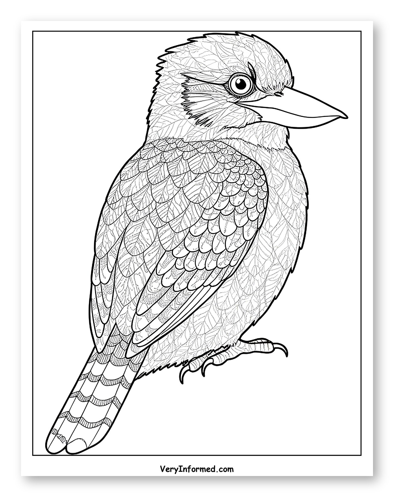 Kookaburra Bird in Leaf Pattern
