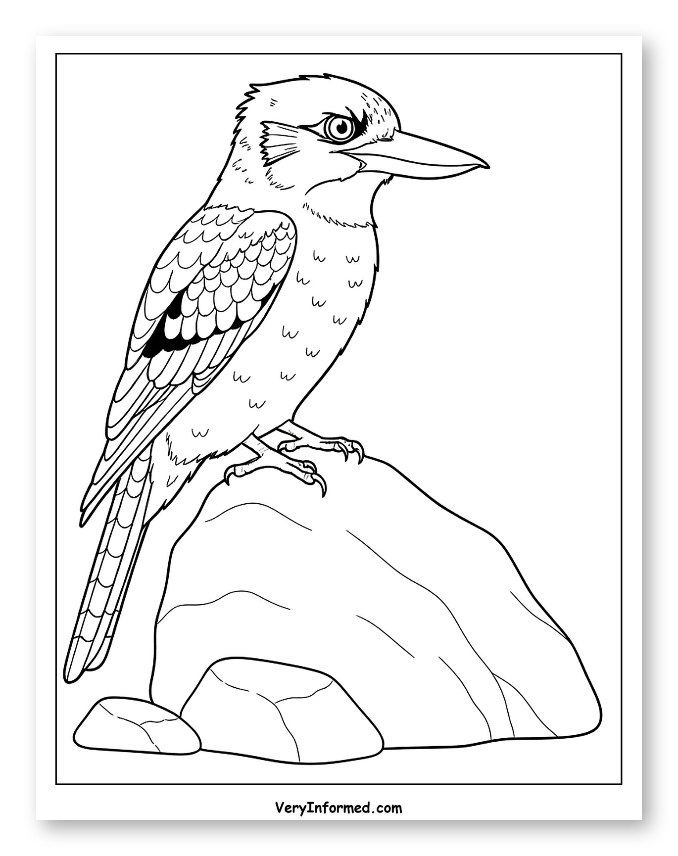 Kookaburra Bird Perched on a Rock Coloring Sheet for Toddlers