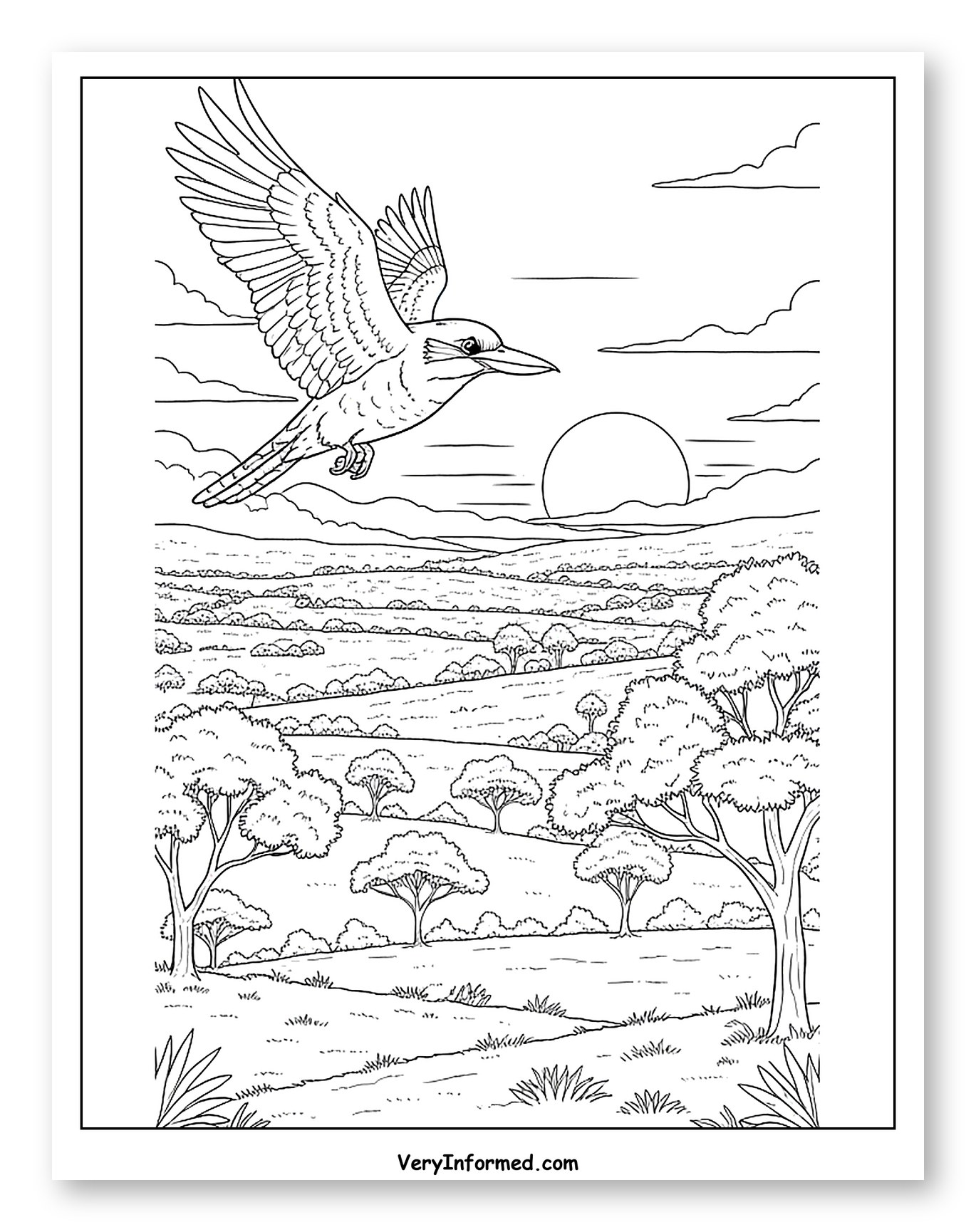 Kookaburra Flying Over a Sunset Landscape Coloring Page for Adults