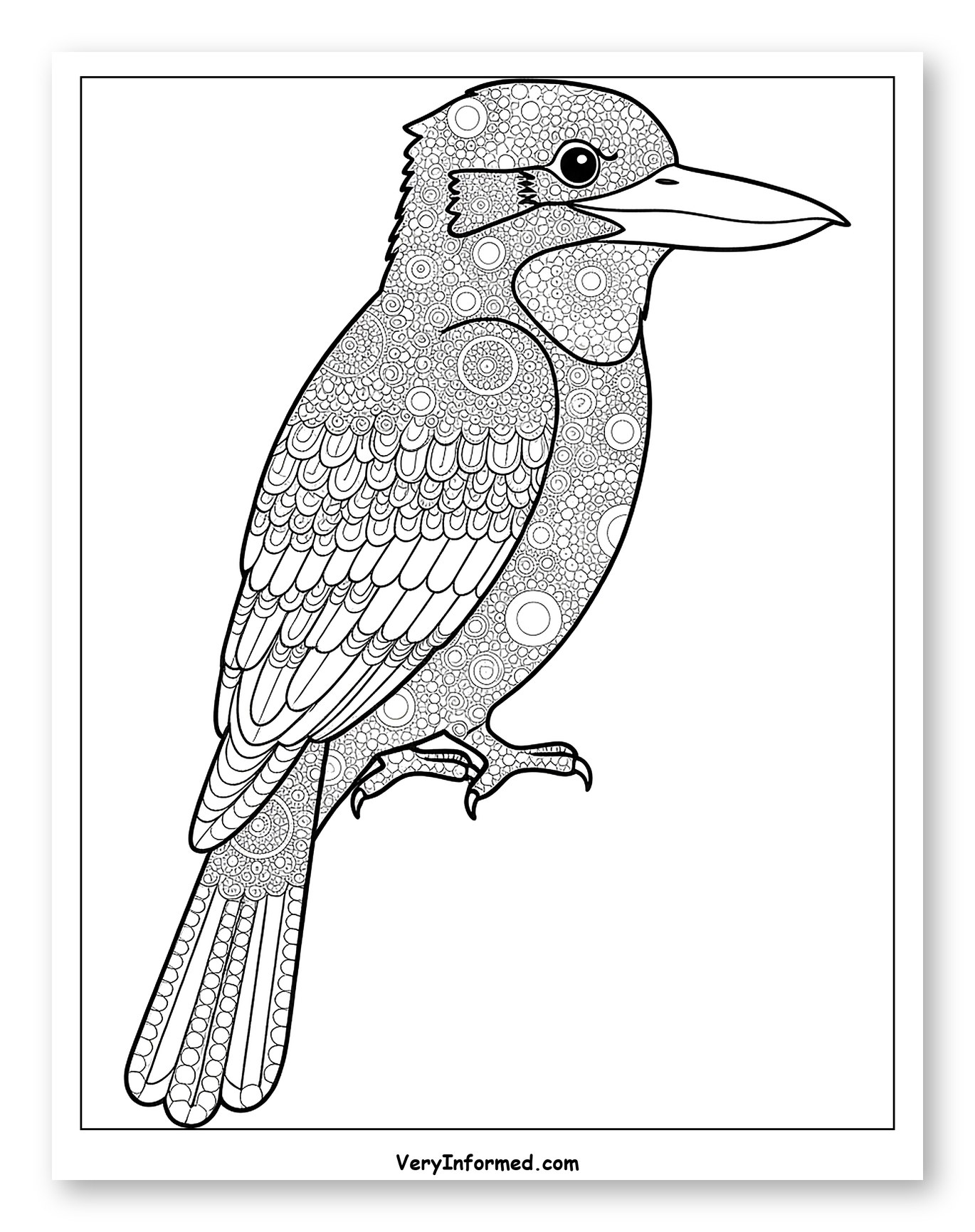 Ornate Kookaburra Bird Perched